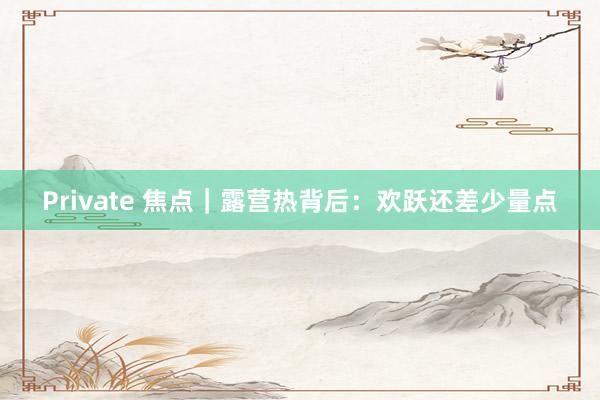 Private 焦点|露营热背后:欢跃还差少量点
