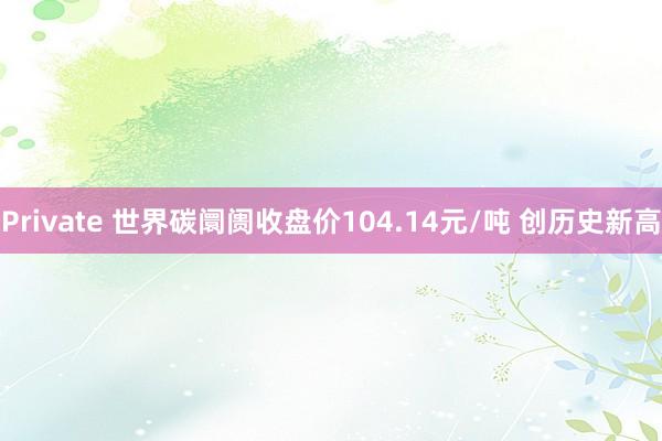 Private 世界碳阛阓收盘价104.14元/吨 创历史新高