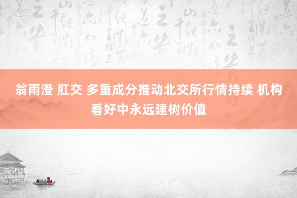 翁雨澄 肛交 多重成分推动北交所行情持续 机构看好中永远建树价值
