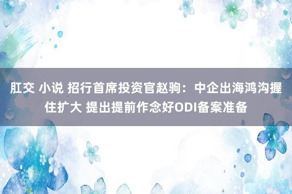 肛交 小说 招行首席投资官赵驹：中企出海鸿沟握住扩大 提出提前作念好ODI备案准备
