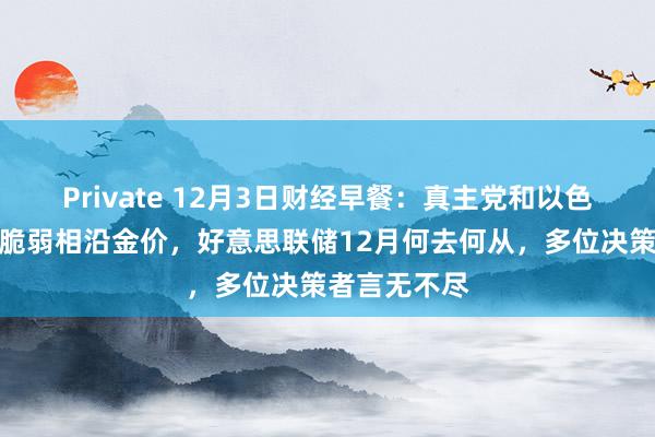 Private 12月3日财经早餐：真主党和以色列停战条约脆弱相沿金价，好意思联储12月何去何从，多位决策者言无不尽