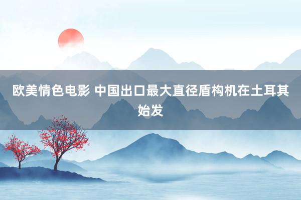 欧美情色电影 中国出口最大直径盾构机在土耳其始发