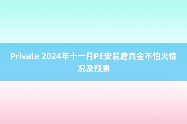 Private 2024年十一月PE安装磨真金不怕火情况及预测