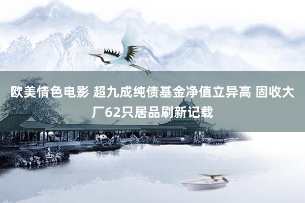 欧美情色电影 超九成纯债基金净值立异高 固收大厂62只居品刷新记载