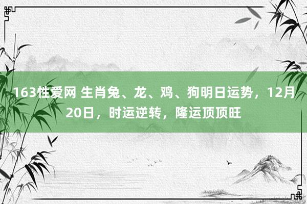 163性爱网 生肖兔、龙、鸡、狗明日运势，12月20日，时运逆转，隆运顶顶旺