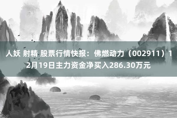 人妖 射精 股票行情快报：佛燃动力（002911）12月19日主力资金净买入286.30万元
