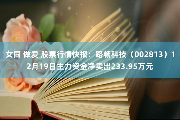 女同 做爱 股票行情快报：路畅科技（002813）12月19日主力资金净卖出233.95万元