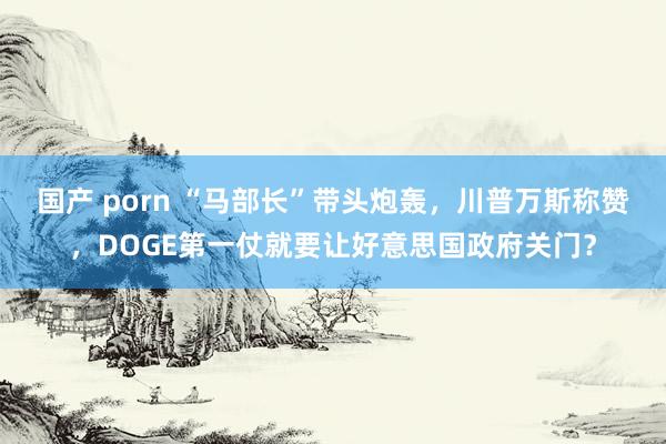 国产 porn “马部长”带头炮轰，川普万斯称赞，DOGE第一仗就要让好意思国政府关门？