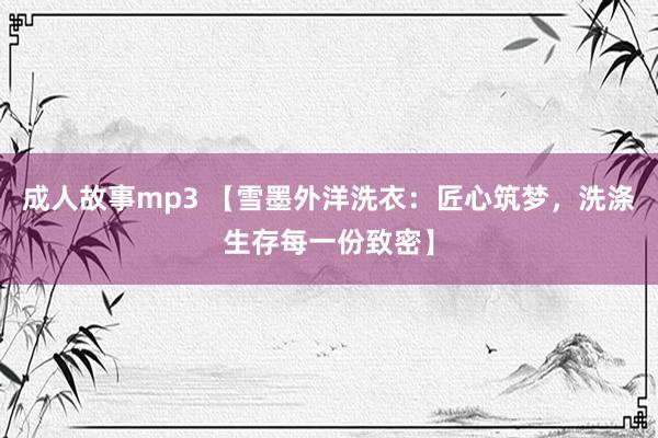 成人故事mp3 【雪墨外洋洗衣：匠心筑梦，洗涤生存每一份致密】