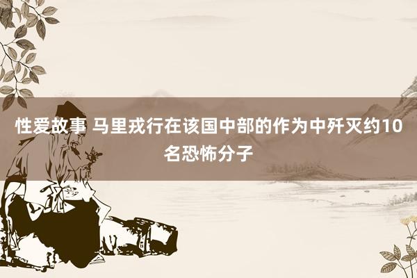 性爱故事 马里戎行在该国中部的作为中歼灭约10名恐怖分子