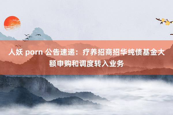 人妖 porn 公告速递：疗养招商招华纯债基金大额申购和调度转入业务