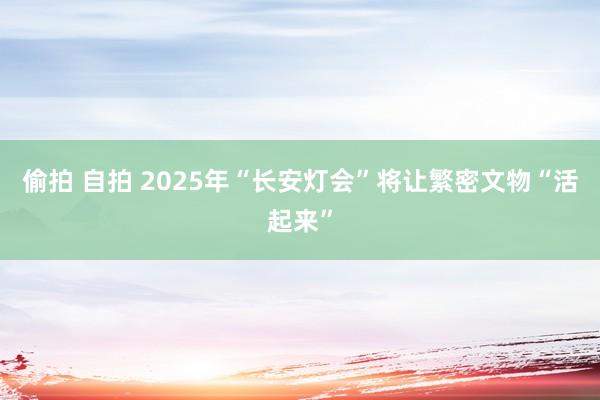 偷拍 自拍 2025年“长安灯会”将让繁密文物“活起来”