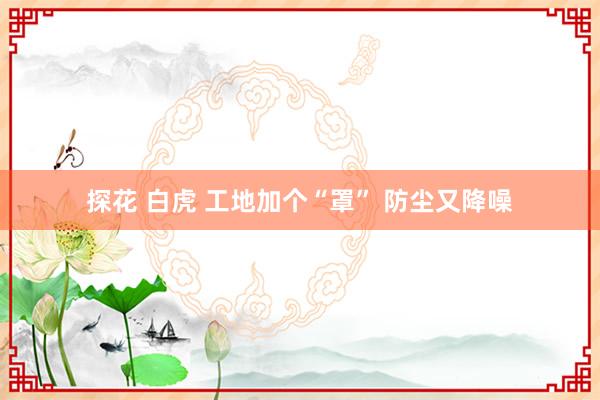 探花 白虎 工地加个“罩” 防尘又降噪