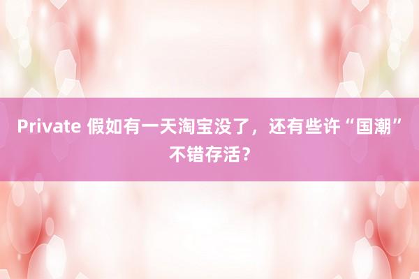 Private 假如有一天淘宝没了，还有些许“国潮”不错存活？