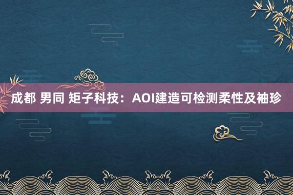 成都 男同 矩子科技：AOI建造可检测柔性及袖珍