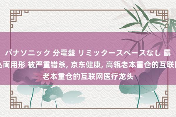 パナソニック 分電盤 リミッタースペースなし 露出・半埋込両用形 被严重错杀， 京东健康， 高瓴老本重仓的互联网医疗龙头