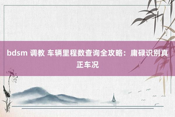 bdsm 调教 车辆里程数查询全攻略：庸碌识别真正车况