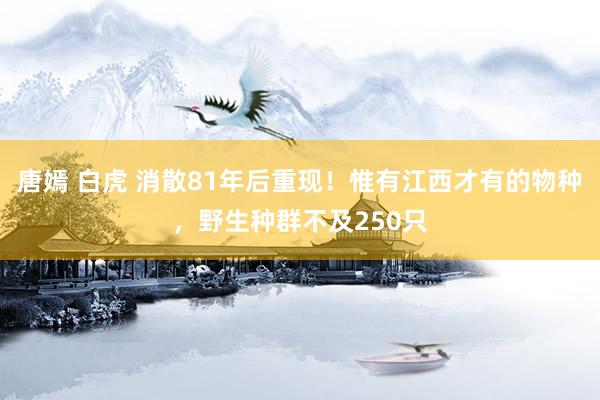 唐嫣 白虎 消散81年后重现！惟有江西才有的物种，野生种群不及250只