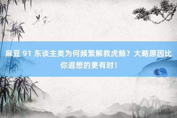 麻豆 91 东谈主类为何频繁解救虎鲸？大略原因比你遐想的更有时！