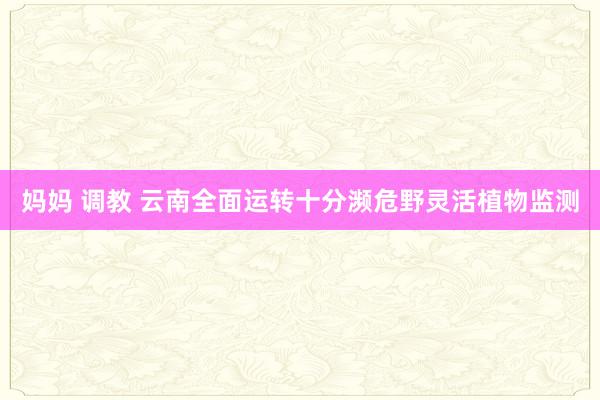 妈妈 调教 云南全面运转十分濒危野灵活植物监测
