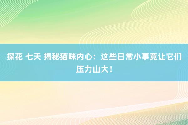 探花 七天 揭秘猫咪内心：这些日常小事竟让它们压力山大！