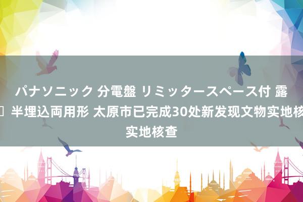 パナソニック 分電盤 リミッタースペース付 露出・半埋込両用形 太原市已完成30处新发现文物实地核查
