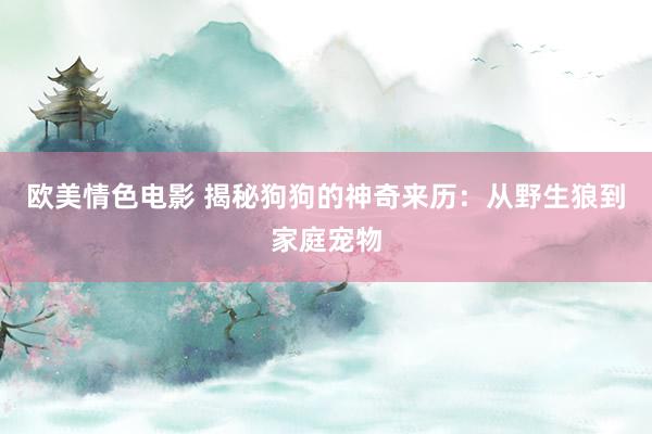 欧美情色电影 揭秘狗狗的神奇来历：从野生狼到家庭宠物