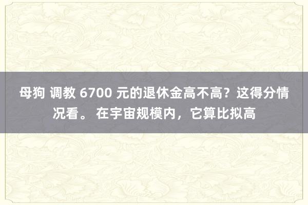 母狗 调教 6700 元的退休金高不高？这得分情况看。 在宇宙规模内，它算比拟高