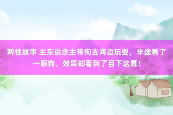 两性故事 主东说念主带狗去海边玩耍，半途看了一眼狗，效果却看到了目下这幕！