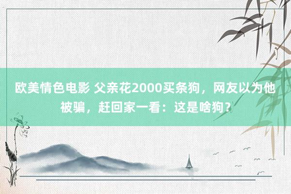 欧美情色电影 父亲花2000买条狗，网友以为他被骗，赶回家一看：这是啥狗？