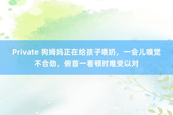 Private 狗姆妈正在给孩子喂奶，一会儿嗅觉不合劲，俯首一看顿时难受以对