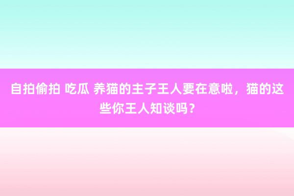 自拍偷拍 吃瓜 养猫的主子王人要在意啦，猫的这些你王人知谈吗？
