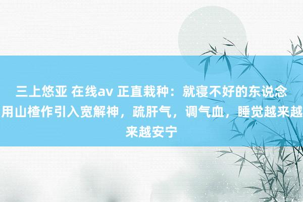 三上悠亚 在线av 正直栽种：就寝不好的东说念主，用山楂作引入宽解神，疏肝气，调气血，睡觉越来越安宁