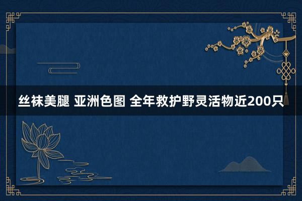 丝袜美腿 亚洲色图 全年救护野灵活物近200只