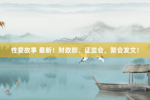 性爱故事 最新！财政部、证监会，聚会发文！