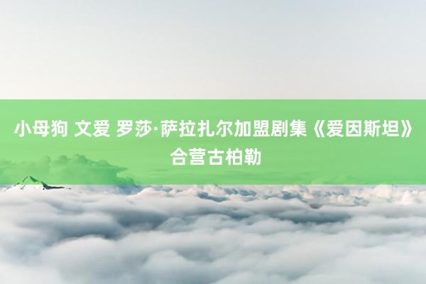 小母狗 文爱 罗莎·萨拉扎尔加盟剧集《爱因斯坦》 合营古柏勒