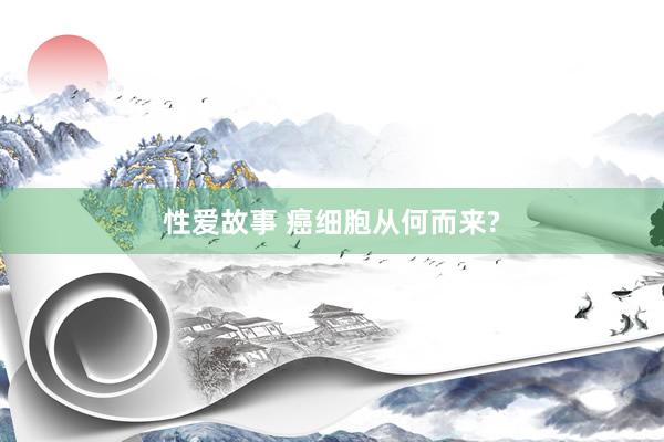 性爱故事 癌细胞从何而来?