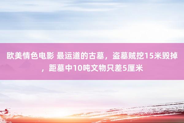 欧美情色电影 最运道的古墓，盗墓贼挖15米毁掉，距墓中10吨文物只差5厘米