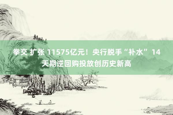 拳交 扩张 11575亿元！央行脱手“补水” 14天期逆回购投放创历史新高