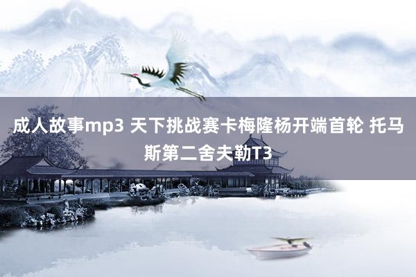 成人故事mp3 天下挑战赛卡梅隆杨开端首轮 托马斯第二舍夫勒T3