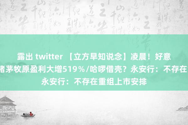 露出 twitter 【立方早知说念】凌晨！好意思联储晓谕/猪茅牧原盈利大增519％/哈啰借壳？永安行：不存在重组上市安排
