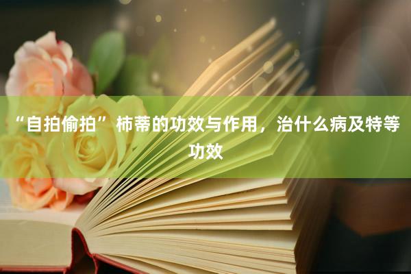 “自拍偷拍” 柿蒂的功效与作用，治什么病及特等功效