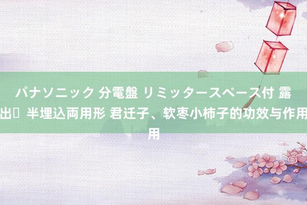 パナソニック 分電盤 リミッタースペース付 露出・半埋込両用形 君迁子、软枣小柿子的功效与作用