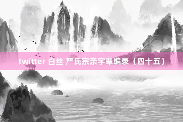 twitter 白丝 严氏宗亲字辈编录（四十五）