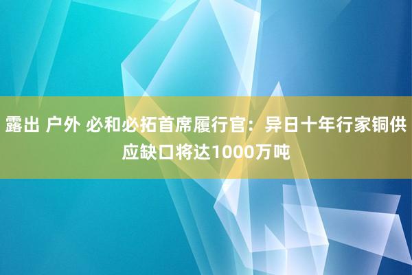 露出 户外 必和必拓首席履行官：异日十年行家铜供应缺口将达1000万吨