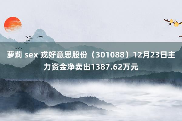 萝莉 sex 戎好意思股份（301088）12月23日主力资金净卖出1387.62万元
