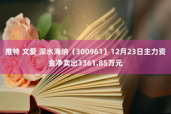 推特 文爱 深水海纳（300961）12月23日主力资金净卖出3361.85万元