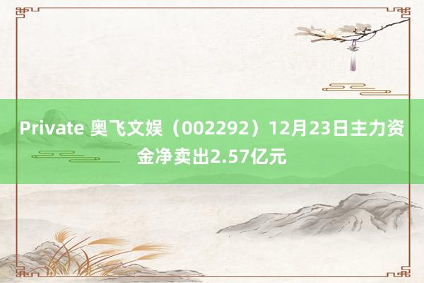 Private 奥飞文娱（002292）12月23日主力资金净卖出2.57亿元