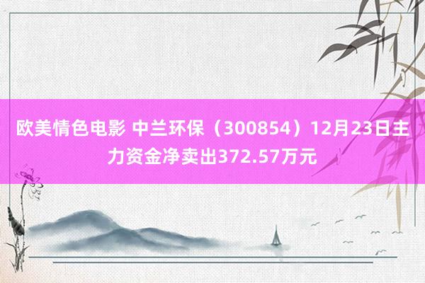 欧美情色电影 中兰环保（300854）12月23日主力资金净卖出372.57万元