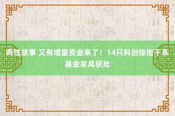 两性故事 又有增量资金来了！14只科创综指干系基金家具获批